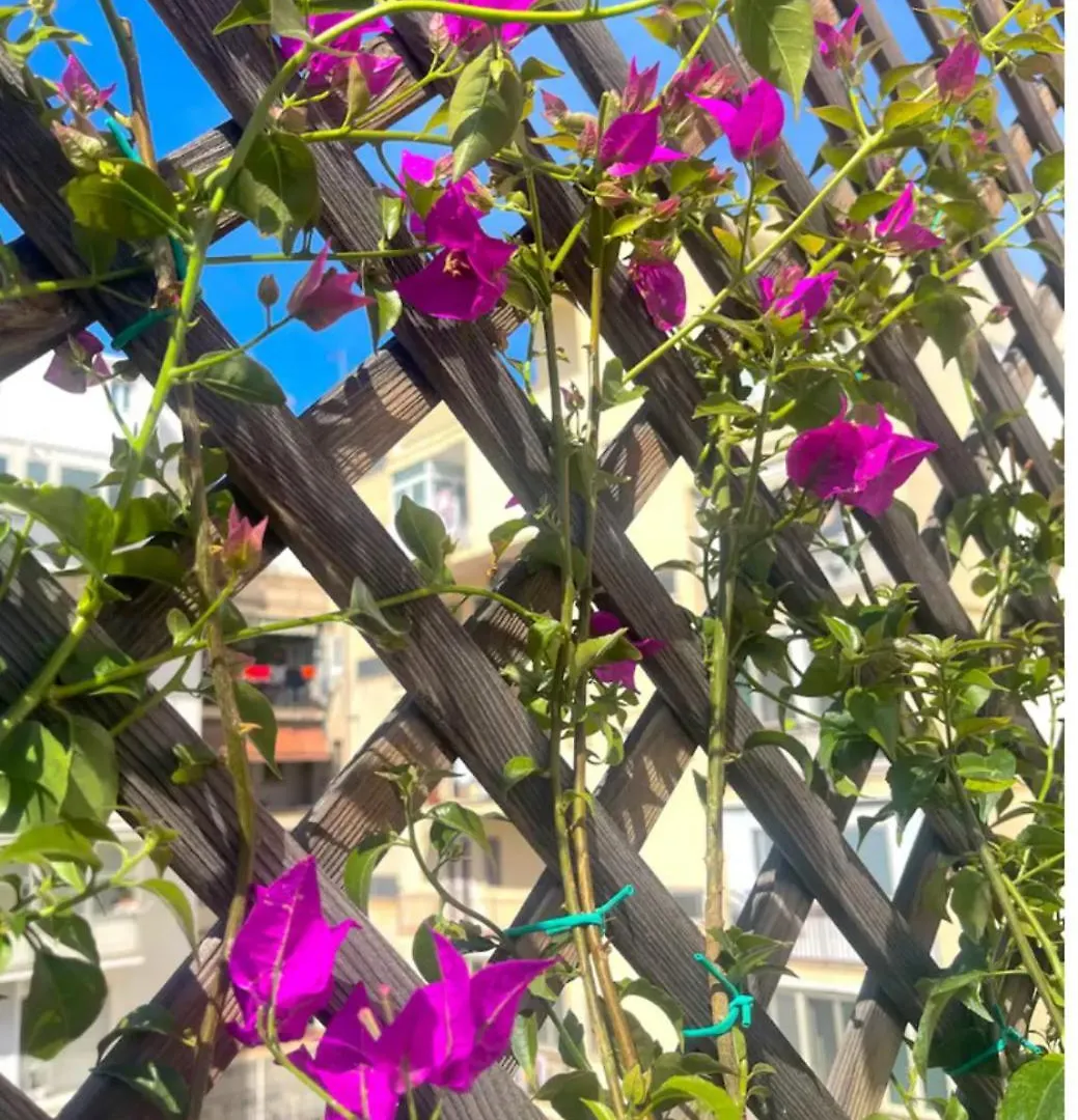 Letizia City Centre Terrace Bari Italy